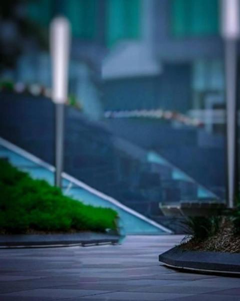 Nature Autodesk CB Blur Background For Photo Editing HD