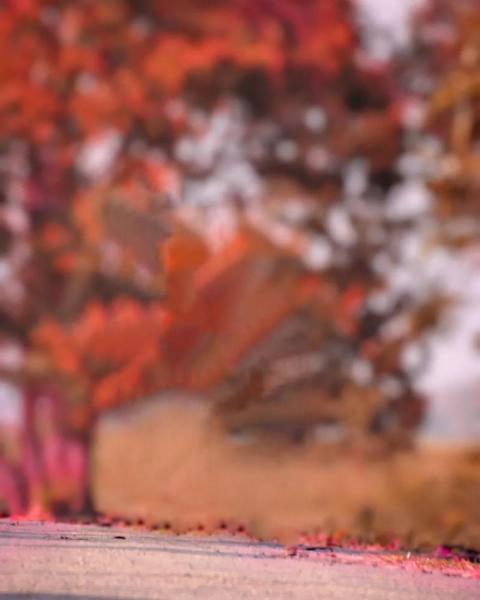 Sketchbook Nature Editing CB Background Download Pic