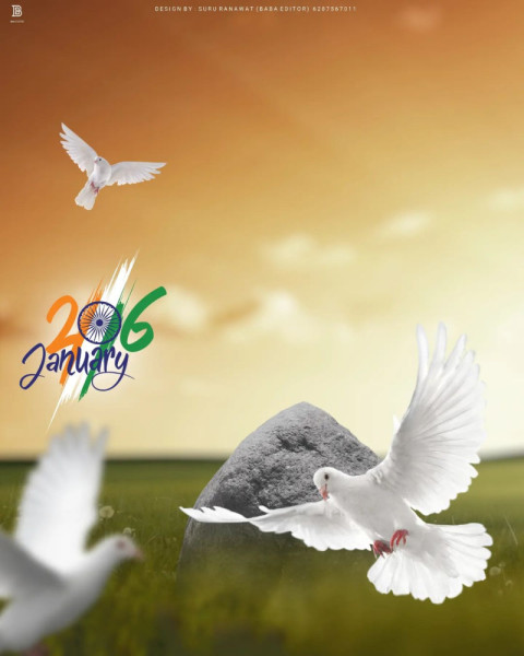 White Birds Photo Editing Wallpaper CB Background HD