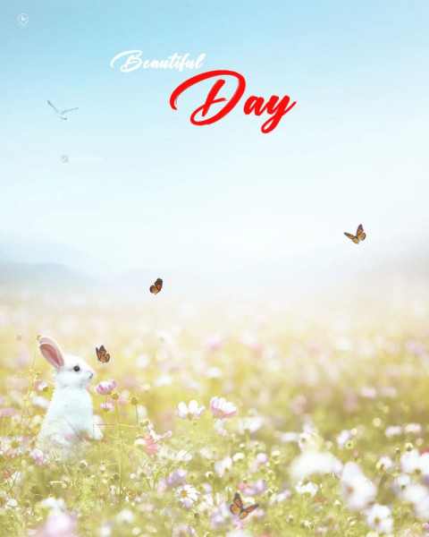 Beautiful Day HD Background For Images CB Photo Editing