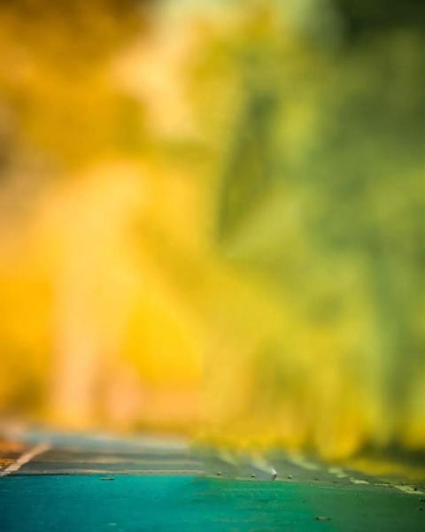 Autodesk Background Download For Editing New