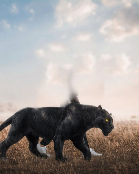 Photoshop Black Panther Editing Background HD Free Images