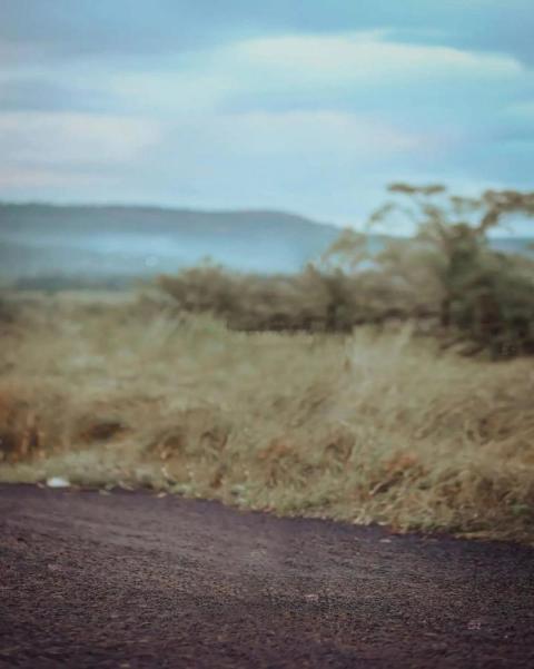 Top Snapseed Blur Photo Editing CB Background