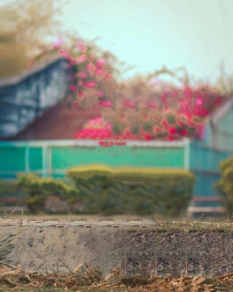Nature Background HD For Sketchbook Photo Editing