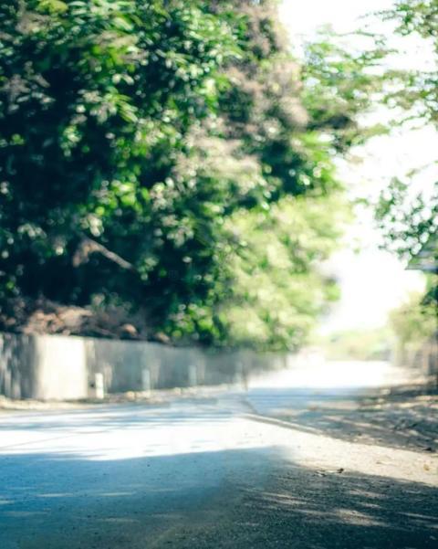 Nature CB Picsart Editing Background For Autodesk