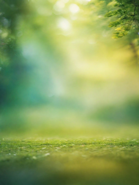 Blur Forest Nature CB Free Background New Images Download