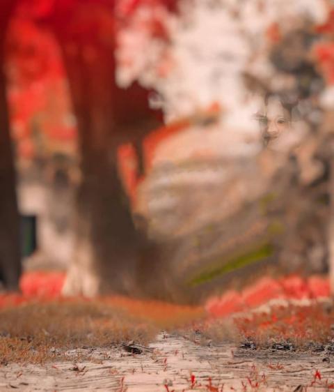 Nature Autodesk CB Blur Background For Photo Editing Free
