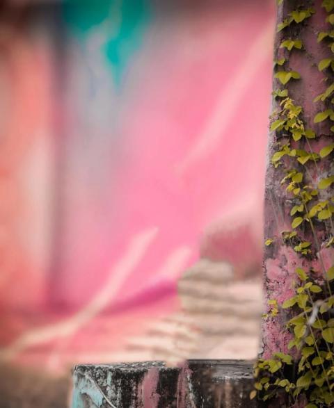 Autodesk Photo Editing CB Backgrounds Download New
