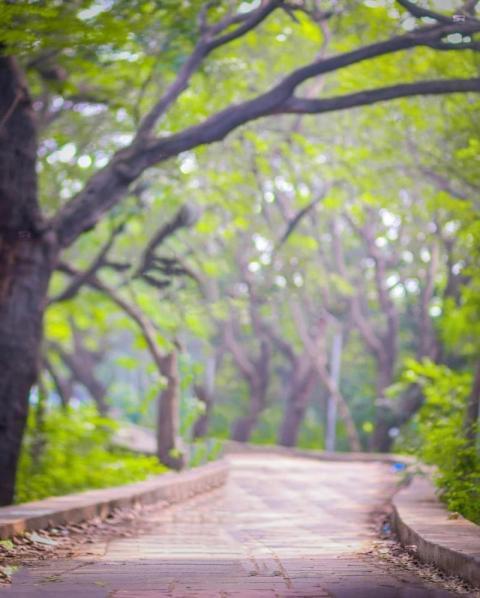 Instagram Viral Cb Picsart Background Download Free