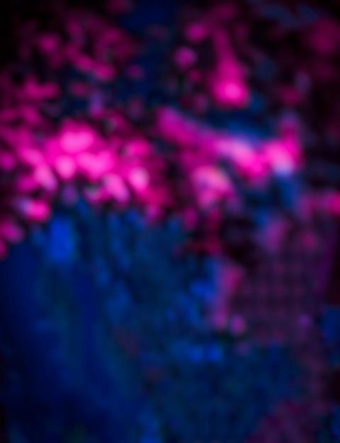 Blur PicsArt Photo Editing CB Background Full HD