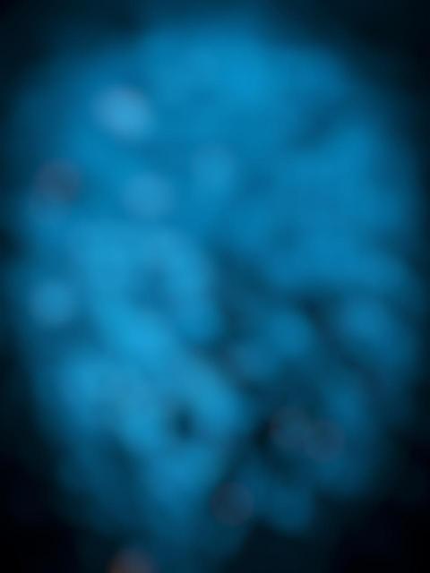 Blue Snapseed Photo Editing Background For CB Picsart
